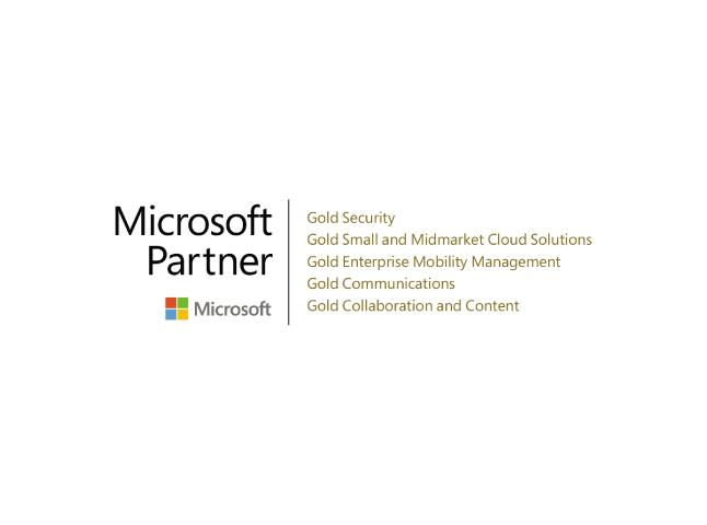 Microsoft Gold Partner Security