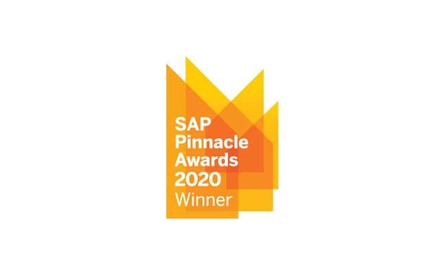 SAP Pinnacle Award 2020: SAP ERP Partner Of The Year - SMEs 