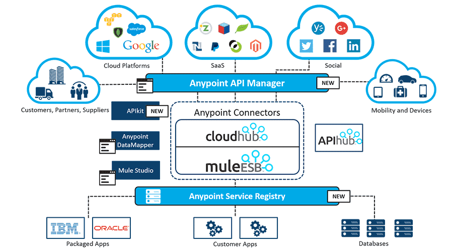 anypoint API Manager