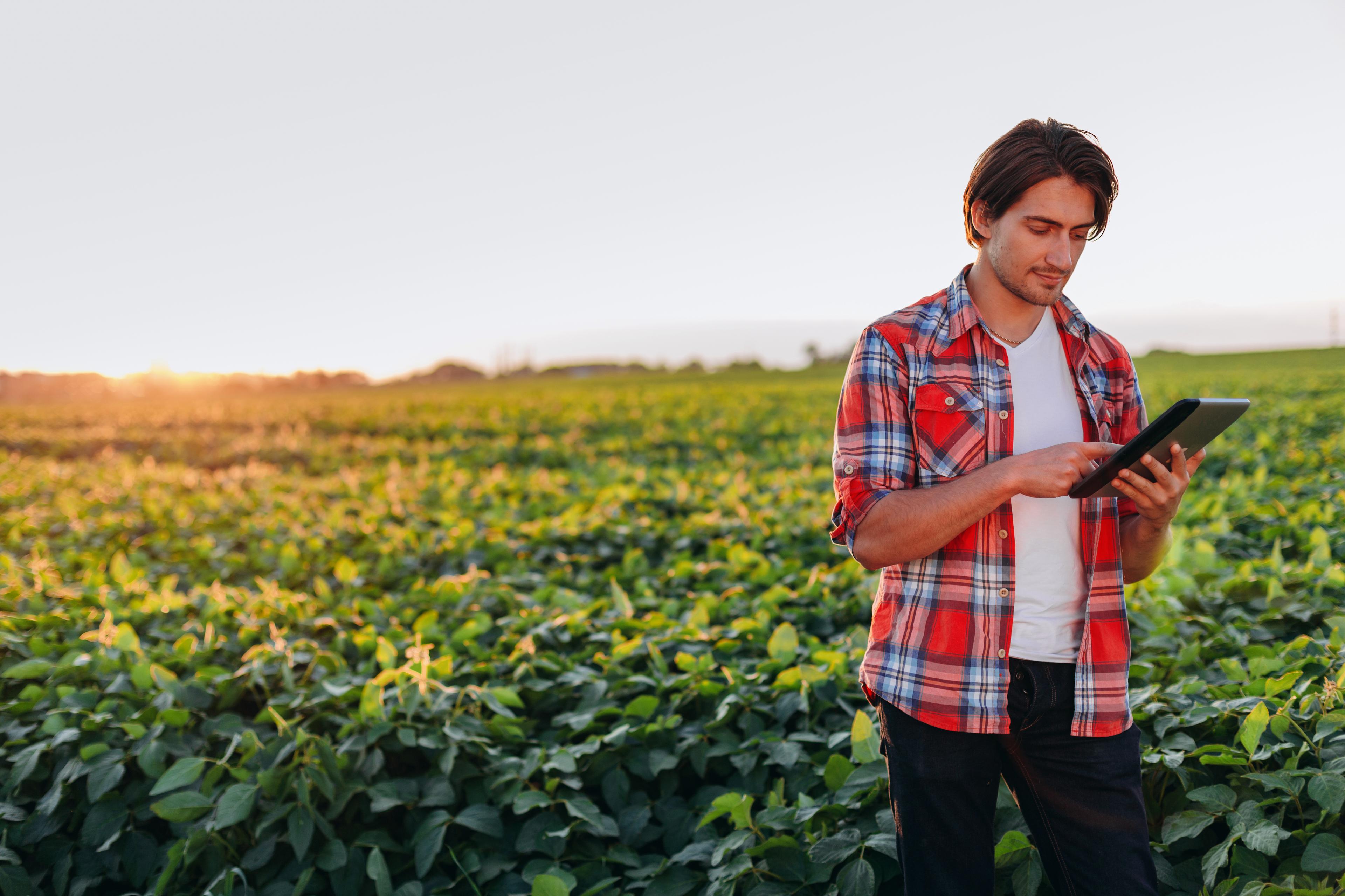 erp-industria-agroalimentaria